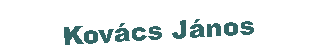 Szövegdoboz: Kovács János